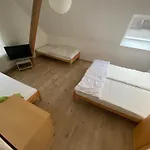 Moderne Große *